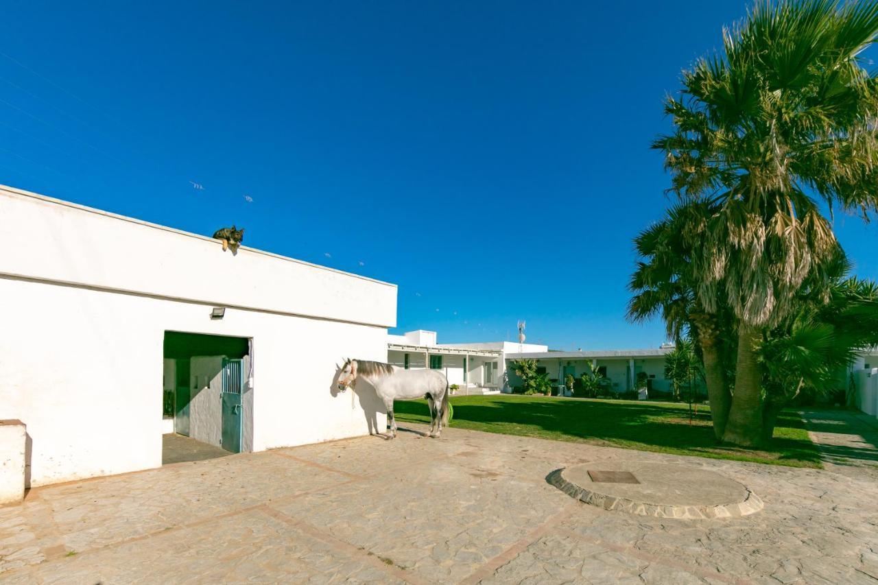 Rurales La Vega Apartment *
