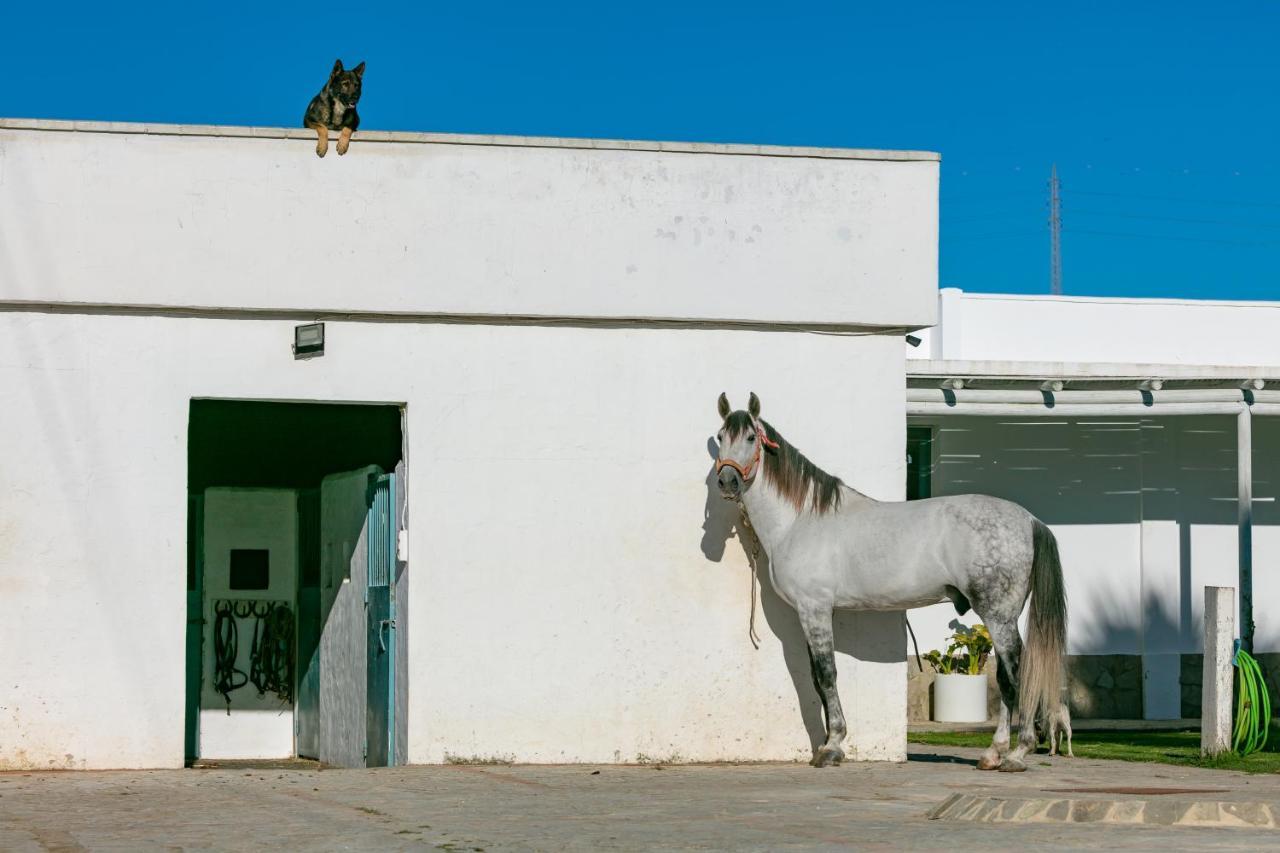 Apartment Rurales La Vega